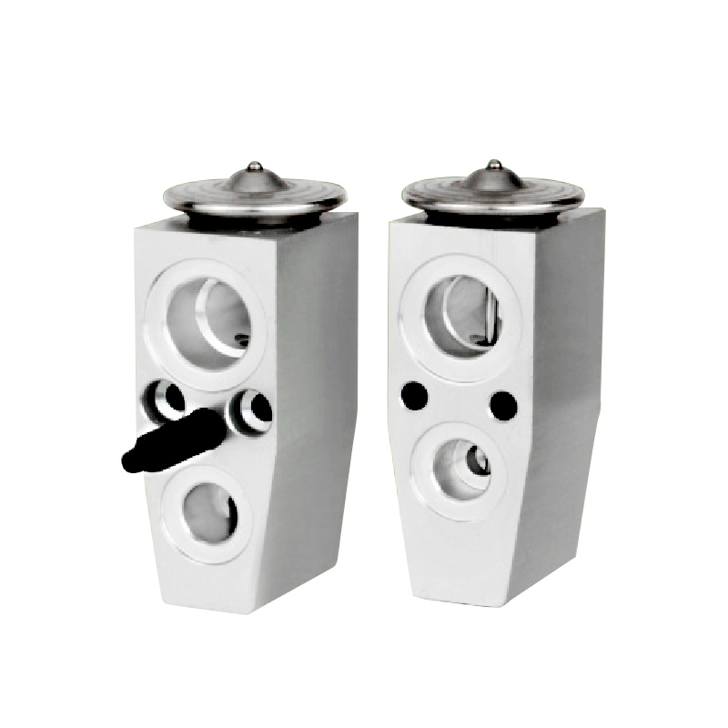 A/C Expansion Valve For CHEVROLET OE: 52494043