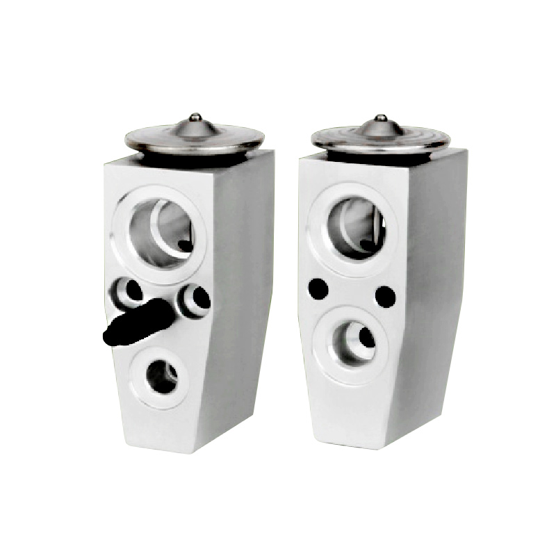 A/C Expansion Valve For FOCUS OE: BK21-19849-AA