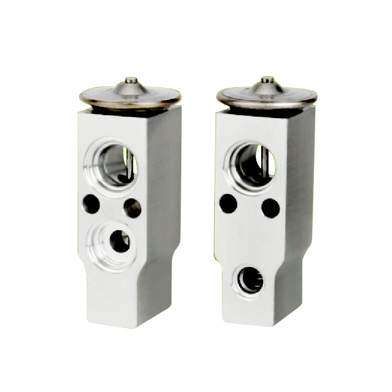 A/C Expansion Valve For GL8 BUICK BPV OE: 9730595