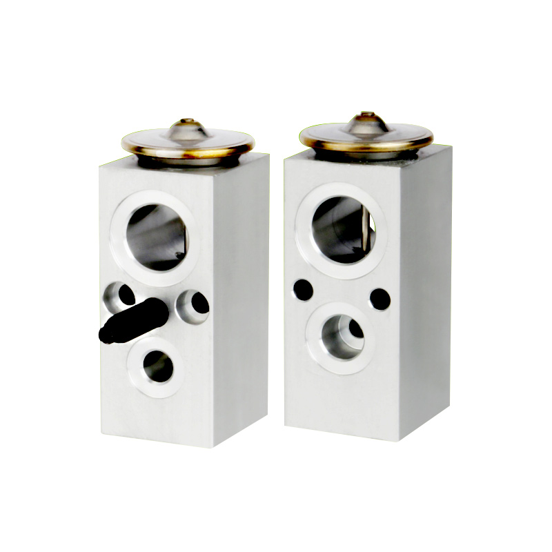 A/C Expansion Valve For BUICK OE: 10302742