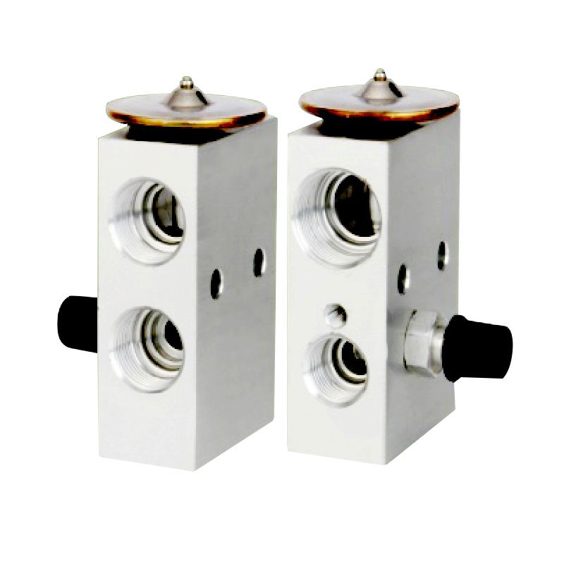 A/C Expansion Valve For TRUCK OE: 71R8400  1676665C1