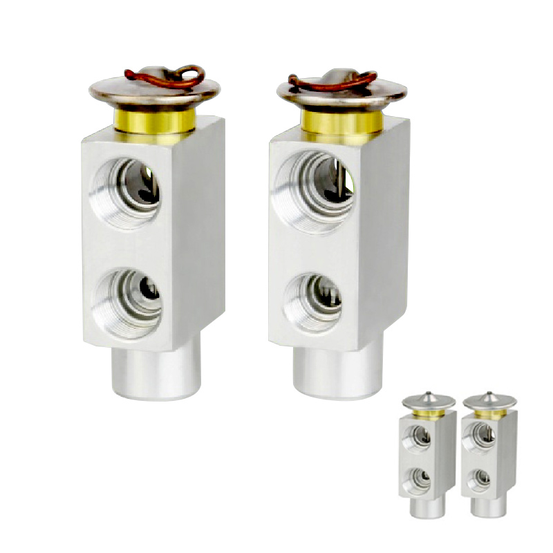 A/C Expansion Valve For V.W 2000 OE: 123 830 1184