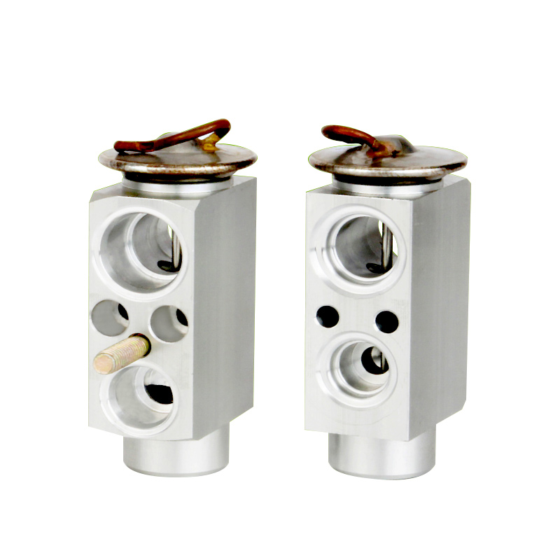 A/C Expansion Valve For BMW X5/220 OE: 6411 8381 504