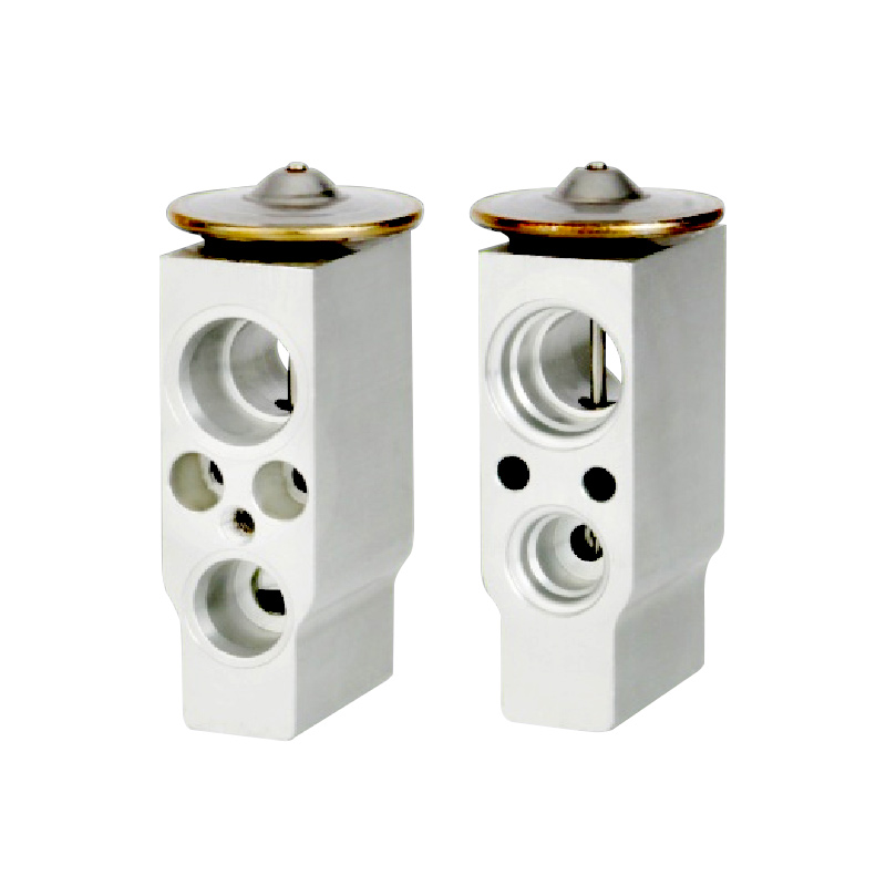 A/C Expansion Valve For BENZ OE: 6411 6921 051