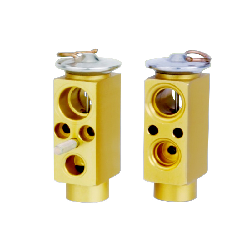 A/C Expansion Valve For BMW220