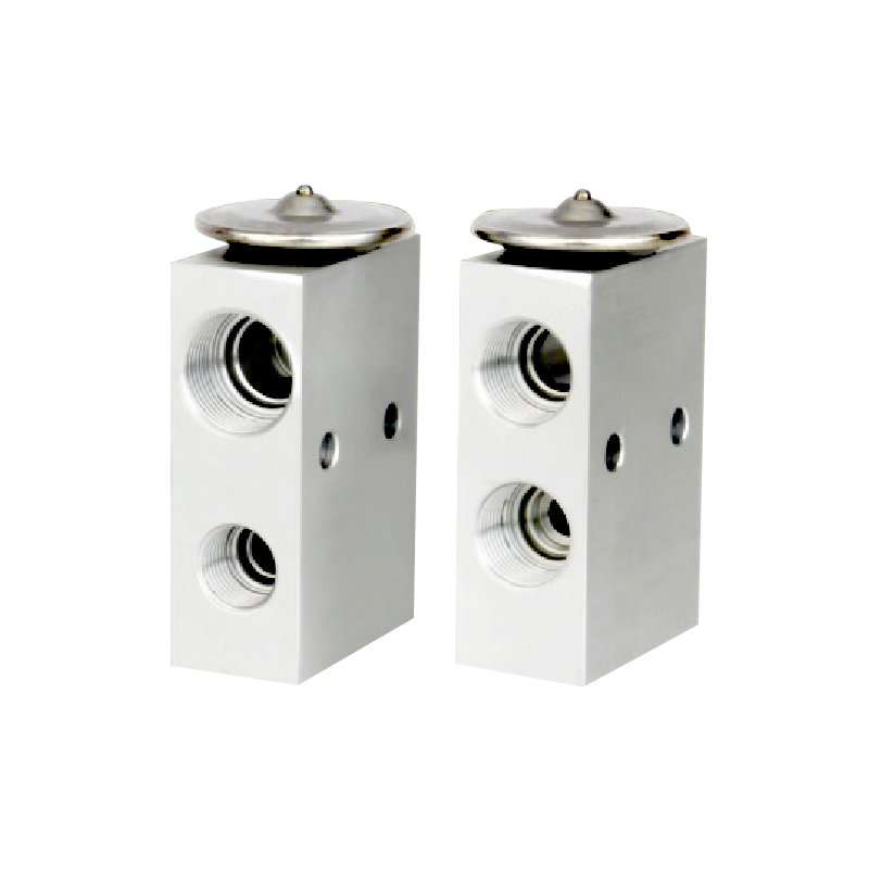 A/C Expansion Valve For BENZ BMW R12 OE: 1238301184