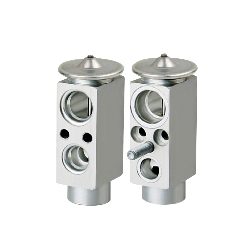 A/C Expansion Valve For BENZ 230