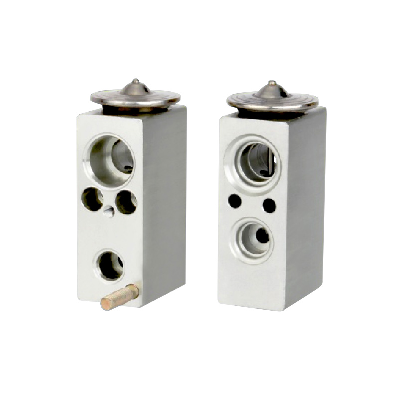 A/C Expansion Valve For CITROEN C4 OE: 1001738351