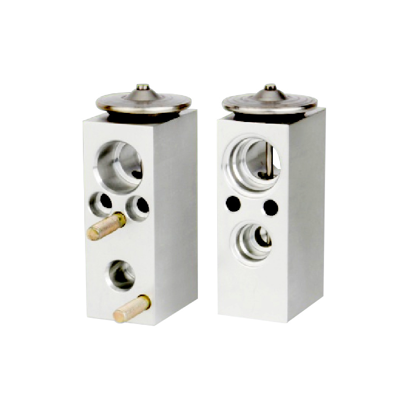 A/C Expansion Valve For RENAULT