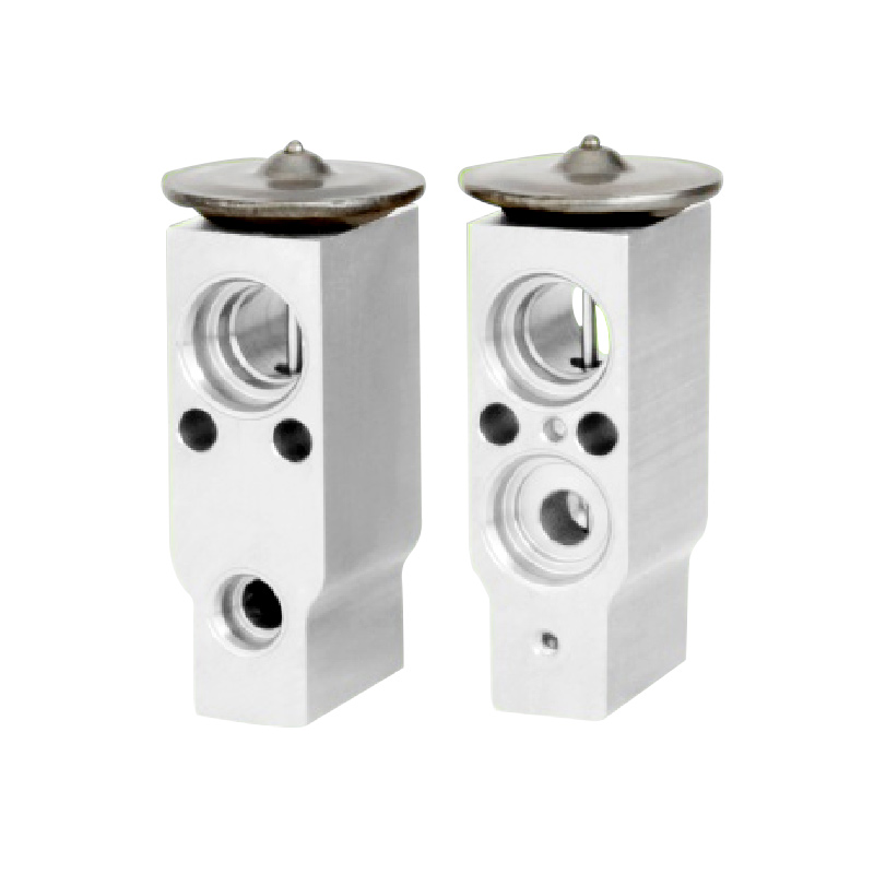A/C Expansion Valve For CITROEN C4